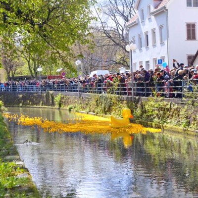 Entenrennen anlässlich der Veranstaltung "Esslinger Frühling"