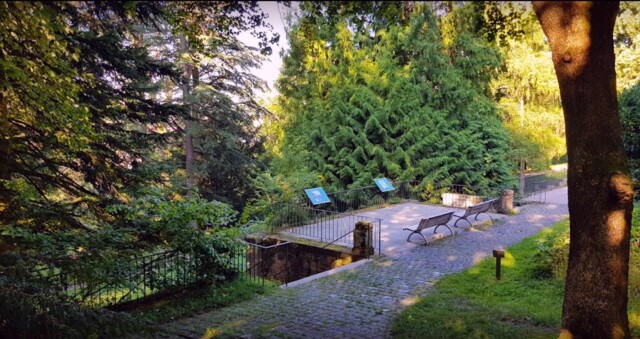 Arboretum im Esslinger Stadtteil Serach - ein Platz zum Ausruhen und Entspannen.